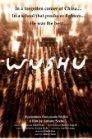 subtitrari - aici avem subtitrarea de la filmul "Wushu" - Subtitrari